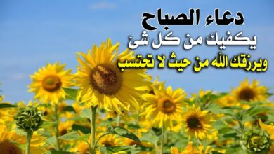 هل الدعاء في الصباح مستجاب؟ 3 هل الدعاء في الصباح مستجاب؟